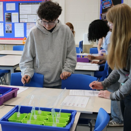 students in a science lesson